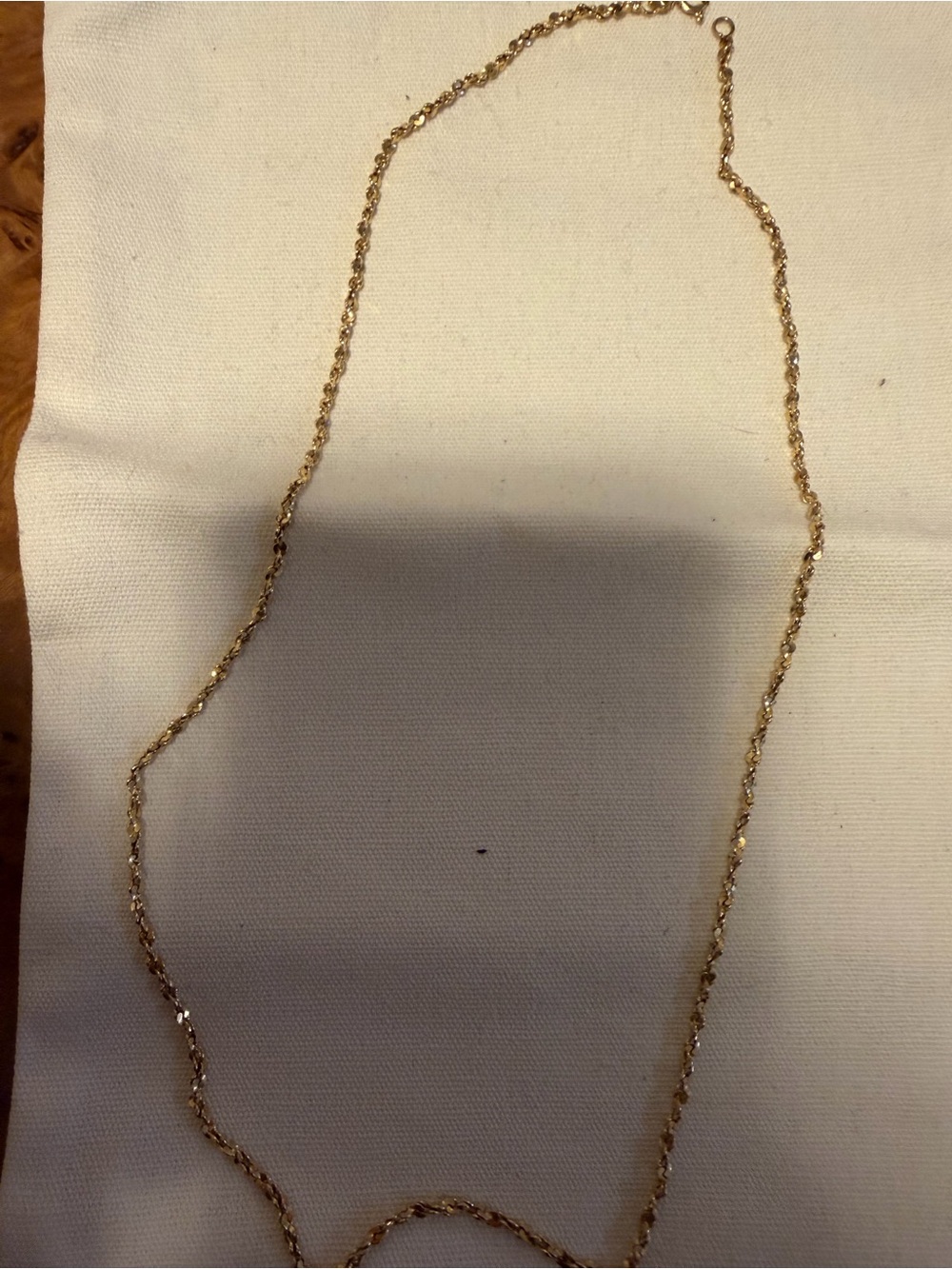 Delicate Gold Rope Chain Necklace - Women Jewelry
